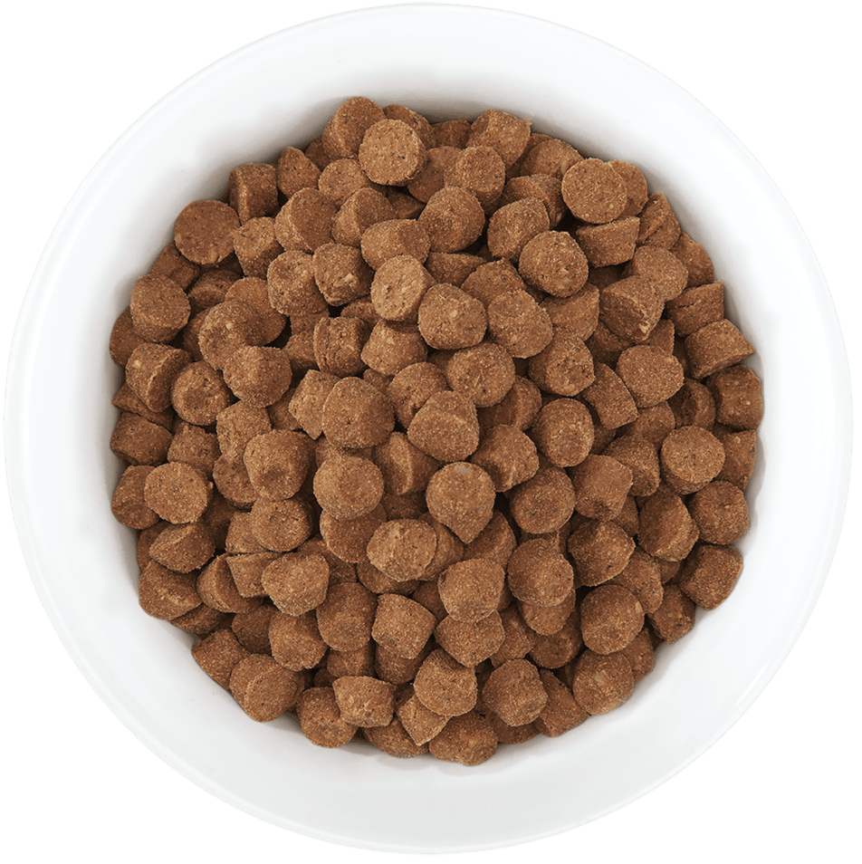 Petfood